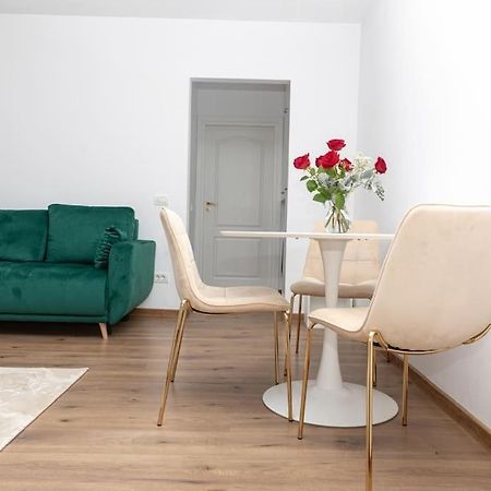 Enescu 3 City Center Flat Temesvár Kültér fotó